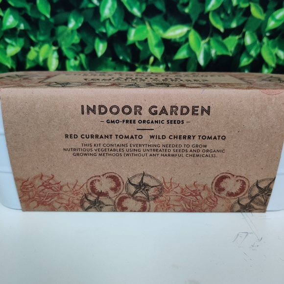 Indoor Garden Cherry Tomato Kit - Picture 2 of 3